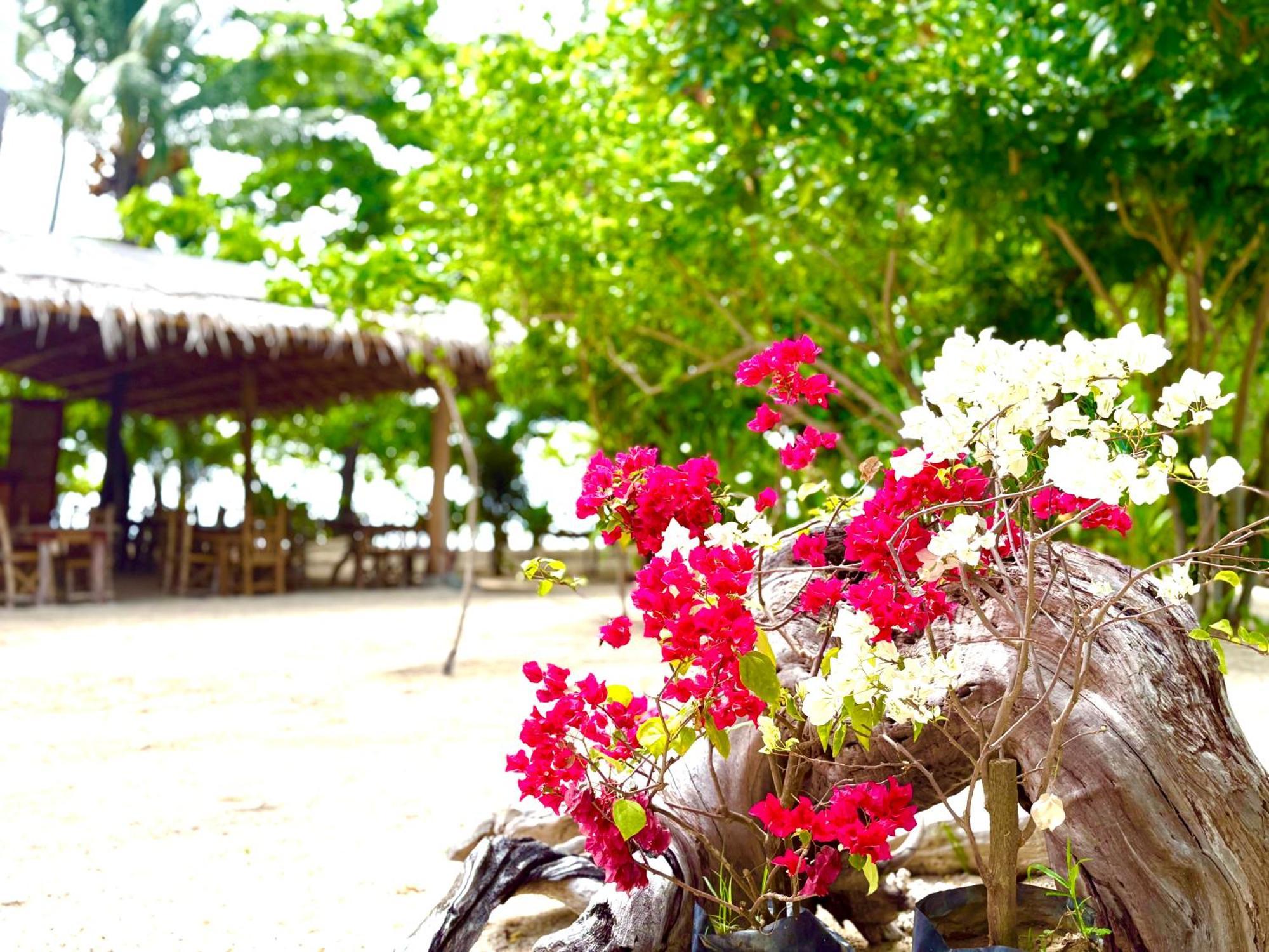 Dosplaya Ecocamp Hotel El Nido Exterior photo